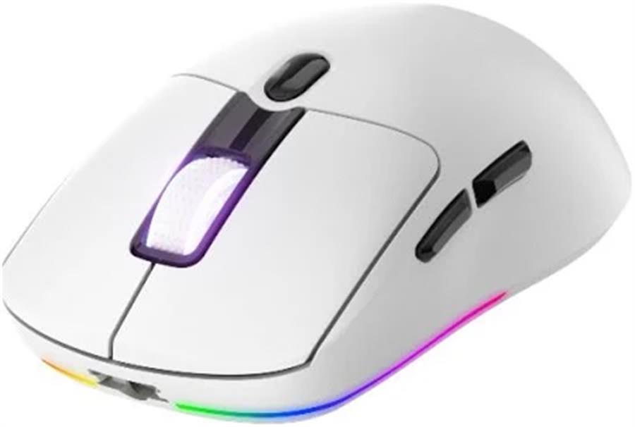 Mouse Raptor Storm Grip wireless 24k white